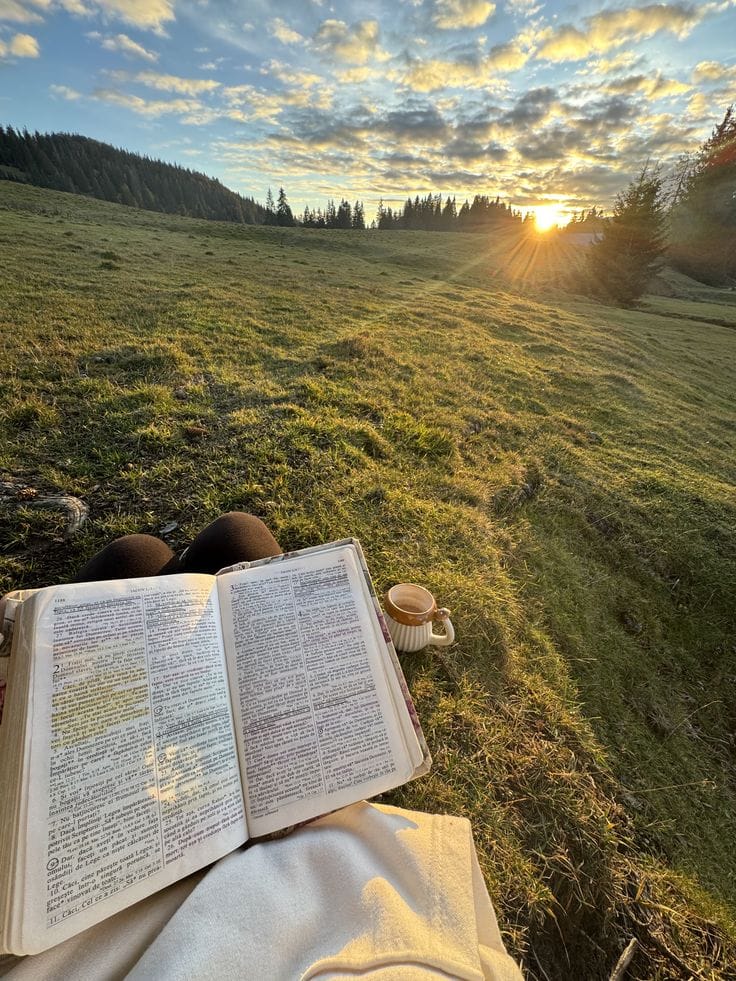 Biblia abierta en el campo al atardecer